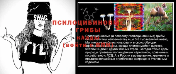 гидропоника Инсар