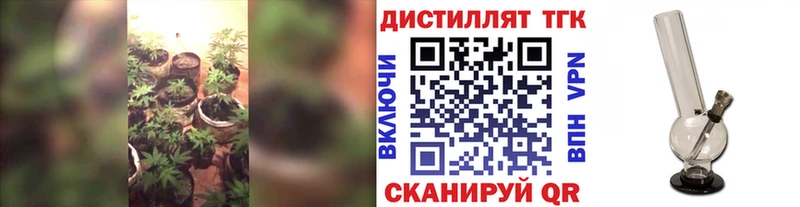 Дистиллят ТГК гашишное масло  Купить где  Катав-Ивановск 