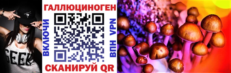 Галлюциногенные грибы Magic Shrooms  Купить  Катав-Ивановск 